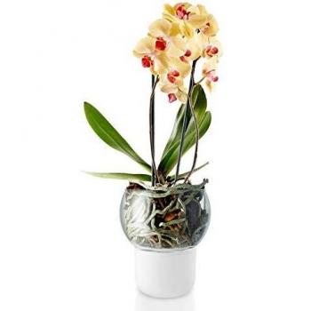 EvaSolo Eva Solo, Kunststoff, Mehrfarbig, 5 cm