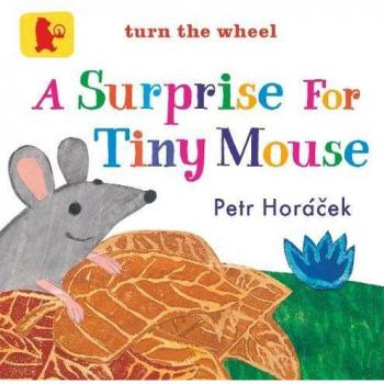 A Surprise for Tiny Mouse