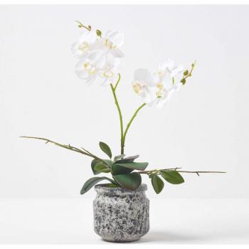 Artificial White and Yellow Phalaenopsis Orchid with Grey Cement Pot, 42cm