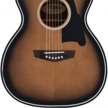 D’Angelico Premier Tammany 678 “Midnight Gold” Model
