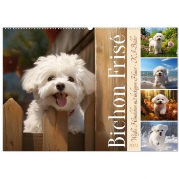 Bichon frisé weiße Hündchen mit lockigem Haar (Wandkalender 2024 DIN A2 quer) CALVENDO Monatskalender