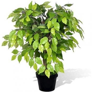 Artificial Dwarf Ficus Plant with Pot 60 cm vidaXL