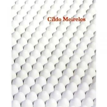 CILDO MEIRELES