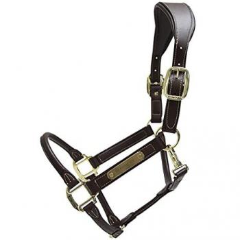 Anatomical Design Leather Halter