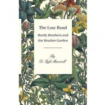 The Low Road