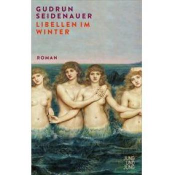 Gudrun Seidenauer Libellen Im Winter: Roman