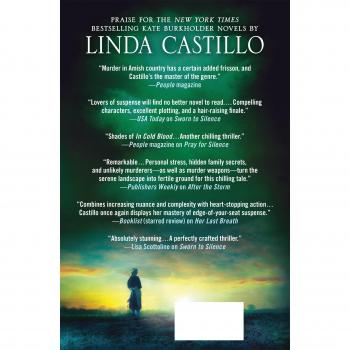 Among the Wicked (Kate Burkholder Novels)