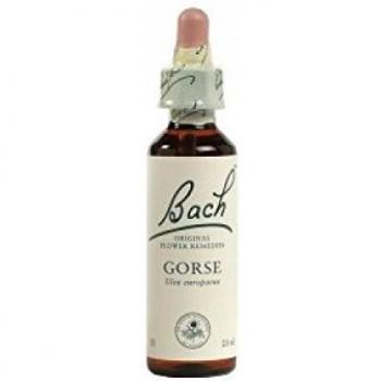 Aroma Gorse Fiori di Bach 10ml