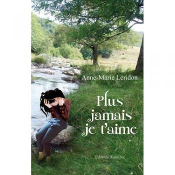 Plus jamais je t'aime