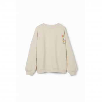 Desigual Pullover für Jungen Löwe