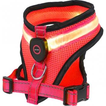 Benepaw LuzFit