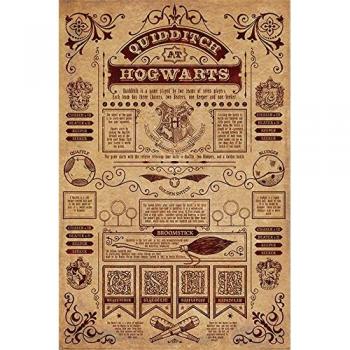 Harry Potter Quidditch at Hogwarts