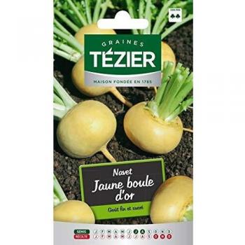 Navet Jaune Tezier