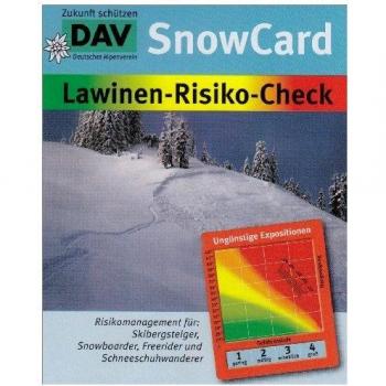 AV Snowcard Lawine