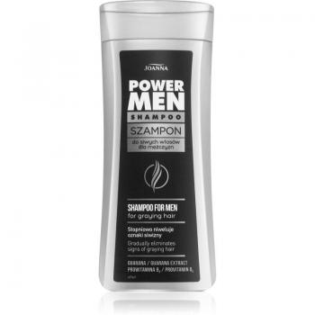 Joanna Herren‑Power Shampoos: Weiße & Graue Haare, 200 ml