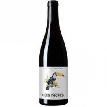 Ales Negres 2024 – Fermentazione Lunga