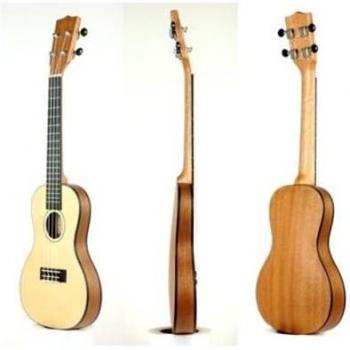 Kala Concert Ukulele with Gig Bag