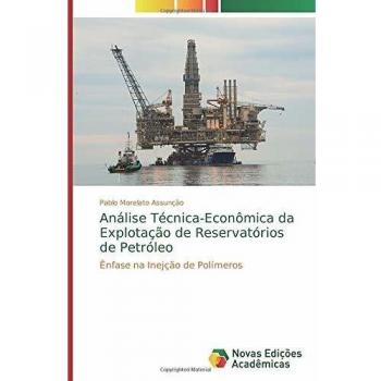Análise Técnica-Econômica da Explotação de Reservatórios de Petróleo: Ênfase na Inejção de Polímeros