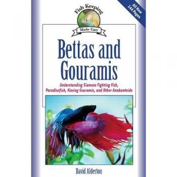 Bettas and Gouramis: Understanding Siamese Fighting Fish, Paradisefish, Kissing Gouramis, and Other Anabantoids