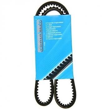 Trapezoidal MAPCO 101000 – Correa Industrial