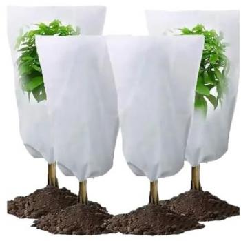 Abri thermique pour plantes 80x100 cm
