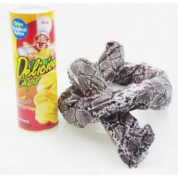April Fool's Day Snake Toy