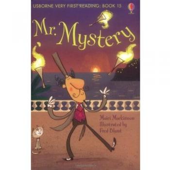 Usborne Mr. Mystery (Book 15)