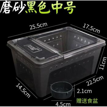 Reptile Insect Breeding Container