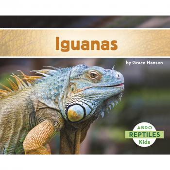 Iguanas