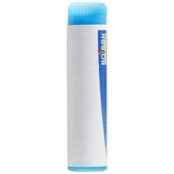 Pollens 9CH