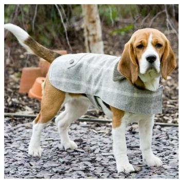 XS Slate-Tweed Pup Suit