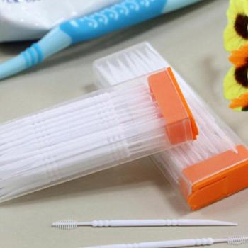 Clear Case Portable Toothpicks with Brush