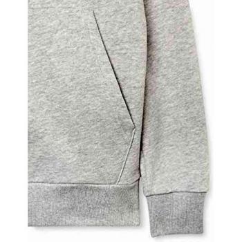 Sudadera con capucha Under Armour Rival Big Logo