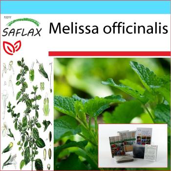 SAFLAX