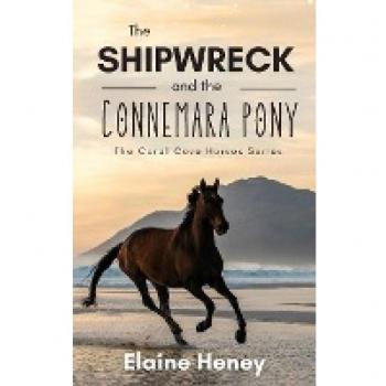 The Shipwreck and the Connemara Pony