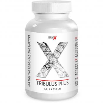 L‑Arginine & Zinc Metabolic Support Capsule Set