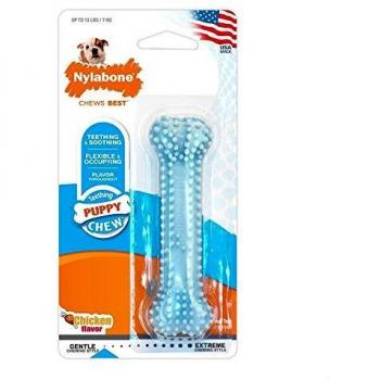 Nylabone Blue Dental Chew XS Cuccioli