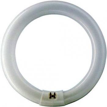 Philips MASTER TL-E Circular Super 80 32W/840