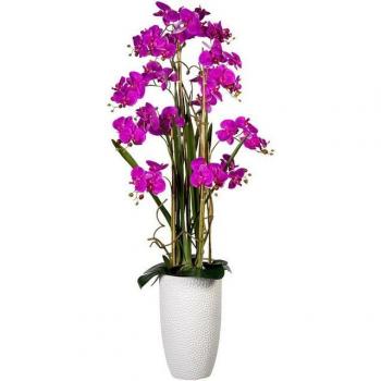 Creativ Green Deko-Orchidee Phalaenopsis XXL – 160 cm hoch
