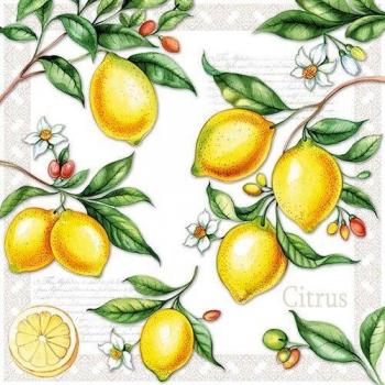 Citrus Drink Napkins