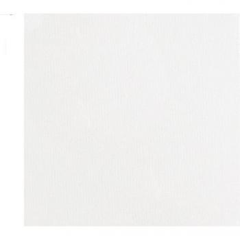 Lienzo de Algodón Blanco para Pintura