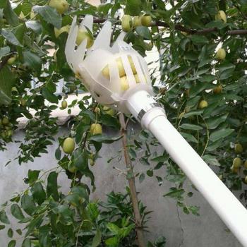 Harvesting Tool