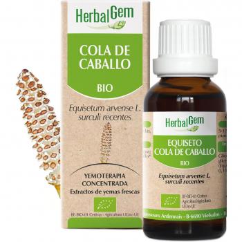 Pranarôm Herbalgem Cola De Caballo Bio 15 Ml