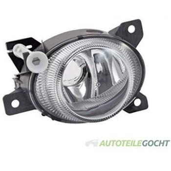 Fendinebbia TYC 19-0494