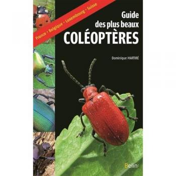Guide des plus beaux coléoptères