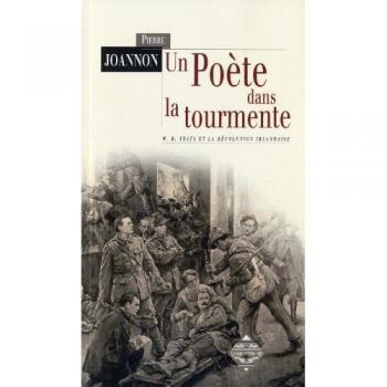 Un poète dans la tourmente