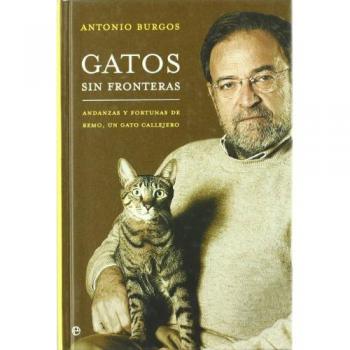 Gatos sin fronteras