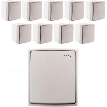 Lot de 10 interrupteurs à voyant