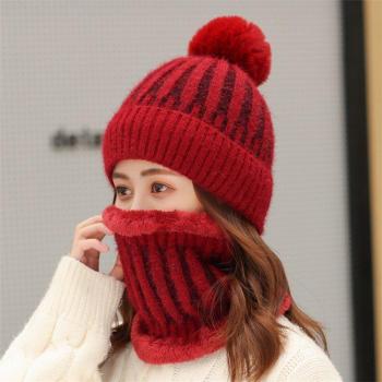 Warm Mixed Color Skull Cap and Neck Warmer for Women