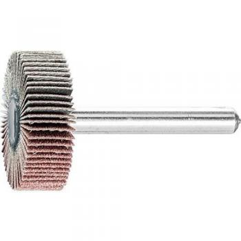 Pferd 30mm x 10mm Flap Wheels